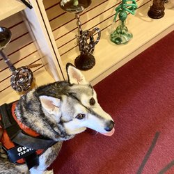 Smokers Bay - Gunnar shopping CBD for his hips