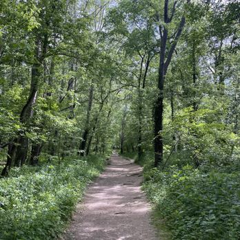The Narrows Reserve - Hiking Near Me - Beavercreek, Ohio The Narrows Reserve - Hiking Near Me - Beavercreek, Ohio