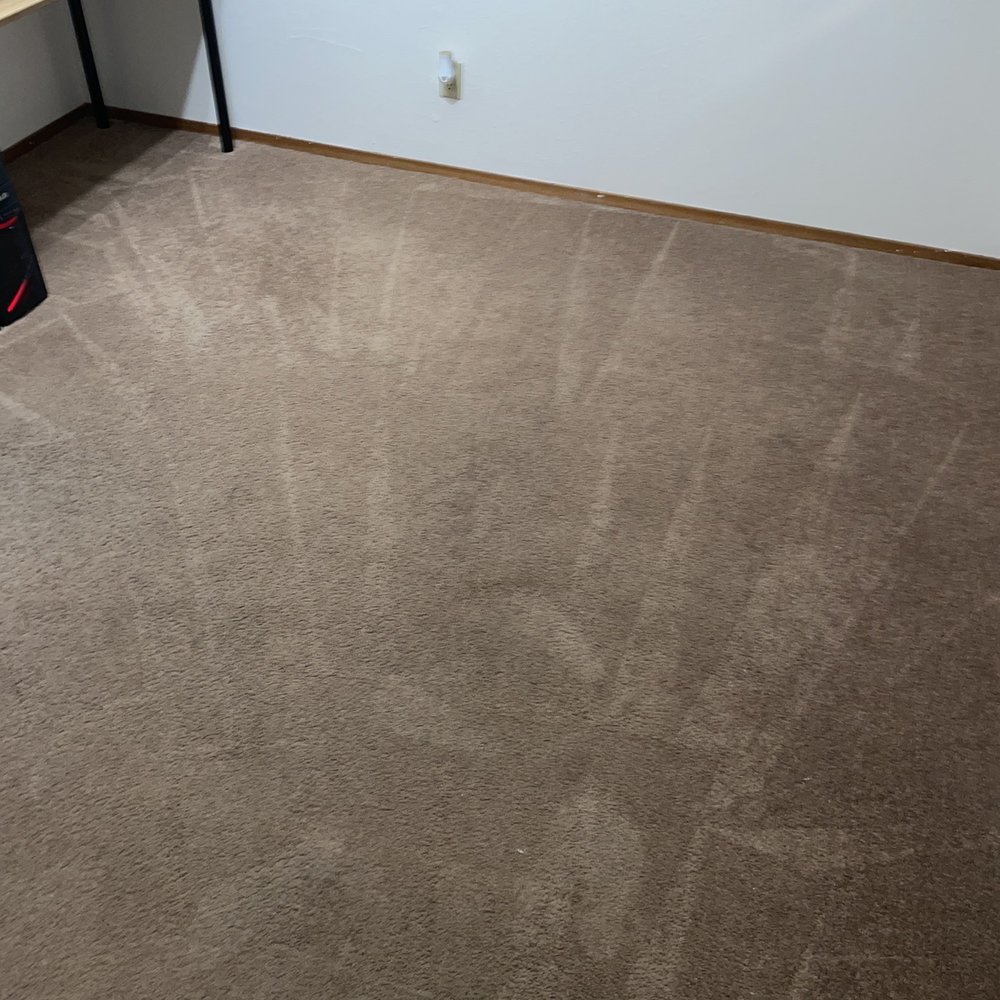 Pristine Cleaners - Fresh/clean carpets - Carpet Cleaning Near Me Pristine Cleaners - Fresh/clean carpets - Carpet Cleaning Near Me