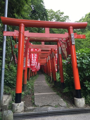 Sasuke Inari Shrine by null