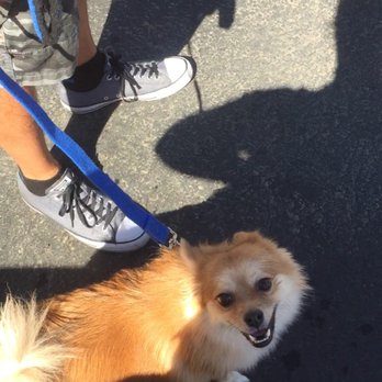Bark Busters - Pet Training Near Me - Henderson, Nevada Bark Busters - Pet Training Near Me - Henderson, Nevada
