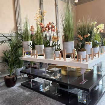 QC Termemilano - Day Spas Near Me - Milan, Michigan