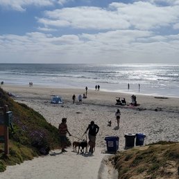 Dog friendly beach