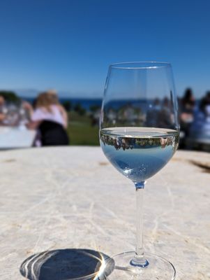 Mari Vineyards by null