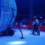 Photo of Zippos Circus