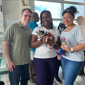 Kingdom Pet Hospital - Veterinarians Near Me - Gibsonton, Florida Kingdom Pet Hospital - Veterinarians Near Me - Gibsonton, Florida