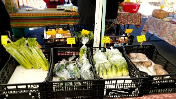 Ahwatukee Farmers Market by null