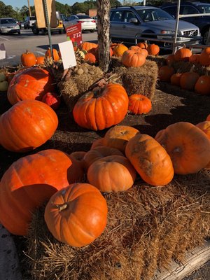 Whole Foods Market by null