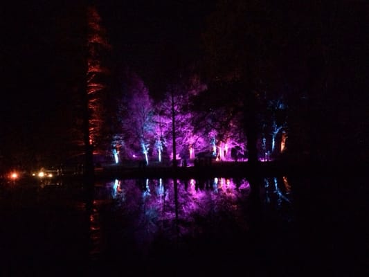 Syon Park by null