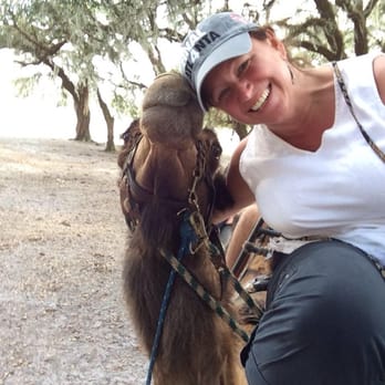 Giraffe Ranch - With Bob the camel - Ranches Near Me - Dade City, Florida Giraffe Ranch - With Bob the camel - Ranches Near Me - Dade City, Florida