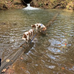 Dwaas Kill Nature Preserve