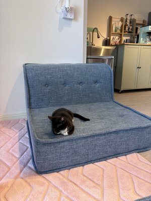 Meows Rakuen by null