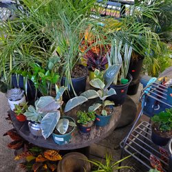 Plant Center