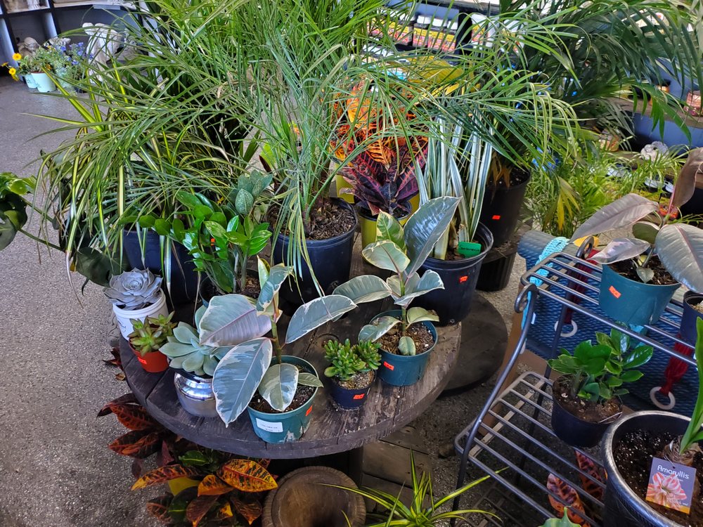 PLANT CENTER Updated September 2024 18 Photos 9431 US Highway 24