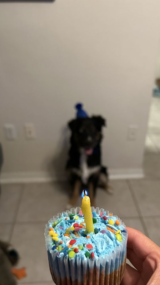 o Jupiter Florida Real Estate For Sale