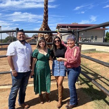 Absolute Charm Wine Tours - Wine Tours Near Me - Fredericksburg, Texas Absolute Charm Wine Tours - Wine Tours Near Me - Fredericksburg, Texas