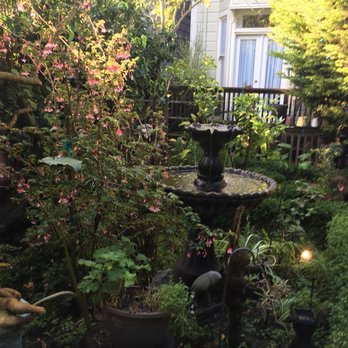 Union Street Inn - Backyard - Bed & Breakfast Near Me - San Francisco, California Union Street Inn - Backyard - Bed & Breakfast Near Me - San Francisco, California