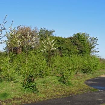 Tolka Valley Park - A year in the life of Tolka River Valley Park - Parks Near Me - Dublin, D Tolka Valley Park - A year in the life of Tolka River Valley Park - Parks Near Me - Dublin, D