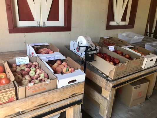 Lake Hills Farm Fresh Produce by null