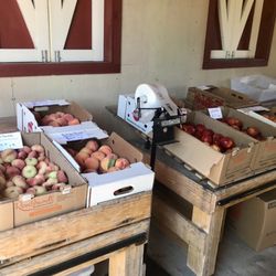 Lake Hills Farm Fresh Produce Stand - Fruits