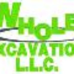 Whole Excavation
