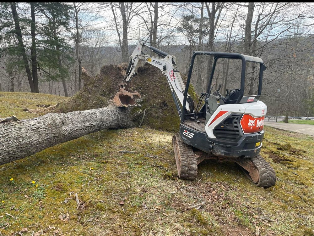 Precision Tree Care - tree service in Nitro, WV
