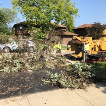 AAA Arborist Tree Experts - Grinding up the old tree - Tree Services Near Me