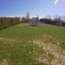 Plenty of dead patches despite having this as lawn service for last couple years Plenty of dead patches despite having this as lawn service for last couple years