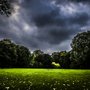 Photo of Wittelsbacher Park