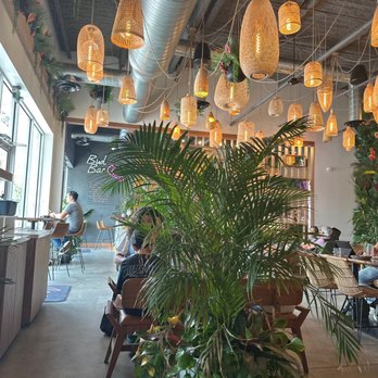 Wild - Coffee & Tea Near Me - Houston, Texas Wild - Coffee & Tea Near Me - Houston, Texas