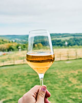 Seminary Hill Orchard & Cidery by null