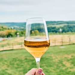 Seminary Hill - Enjoy cider with a view.