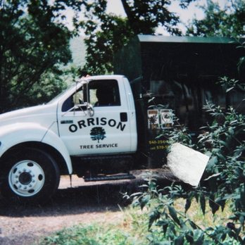 Orrison's Tree Service - a truck parked in front of a tree - Tree Services Near Me Orrison's Tree Service - a truck parked in front of a tree - Tree Services Near Me