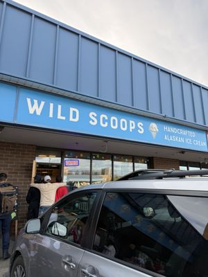 Wild Scoops by null