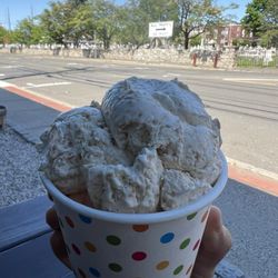 Toasted Coconut Ice Cream