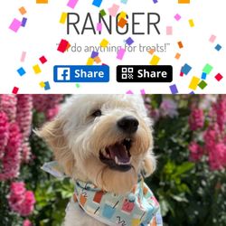 Pacifica Pet Hospital - Ranger