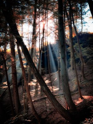 Hocking Hills State Park by null