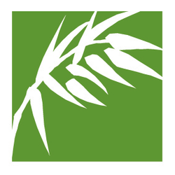 Holistic Acupuncture Therapy with Ragani - GreenSquare Center