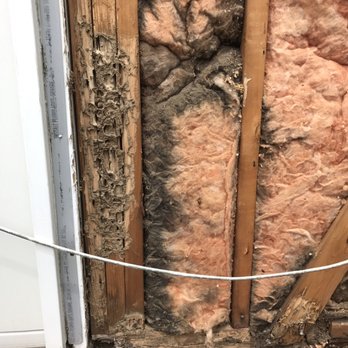 BC Exterminating 1 - Termites - Pest Control Near Me