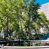 Madison Square Park gift card