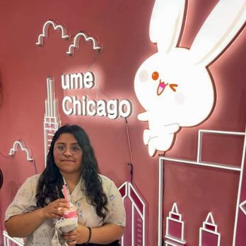 Ume Tea - Bubble Tea Near Me - Chicago, Illinois Ume Tea - Bubble Tea Near Me - Chicago, Illinois