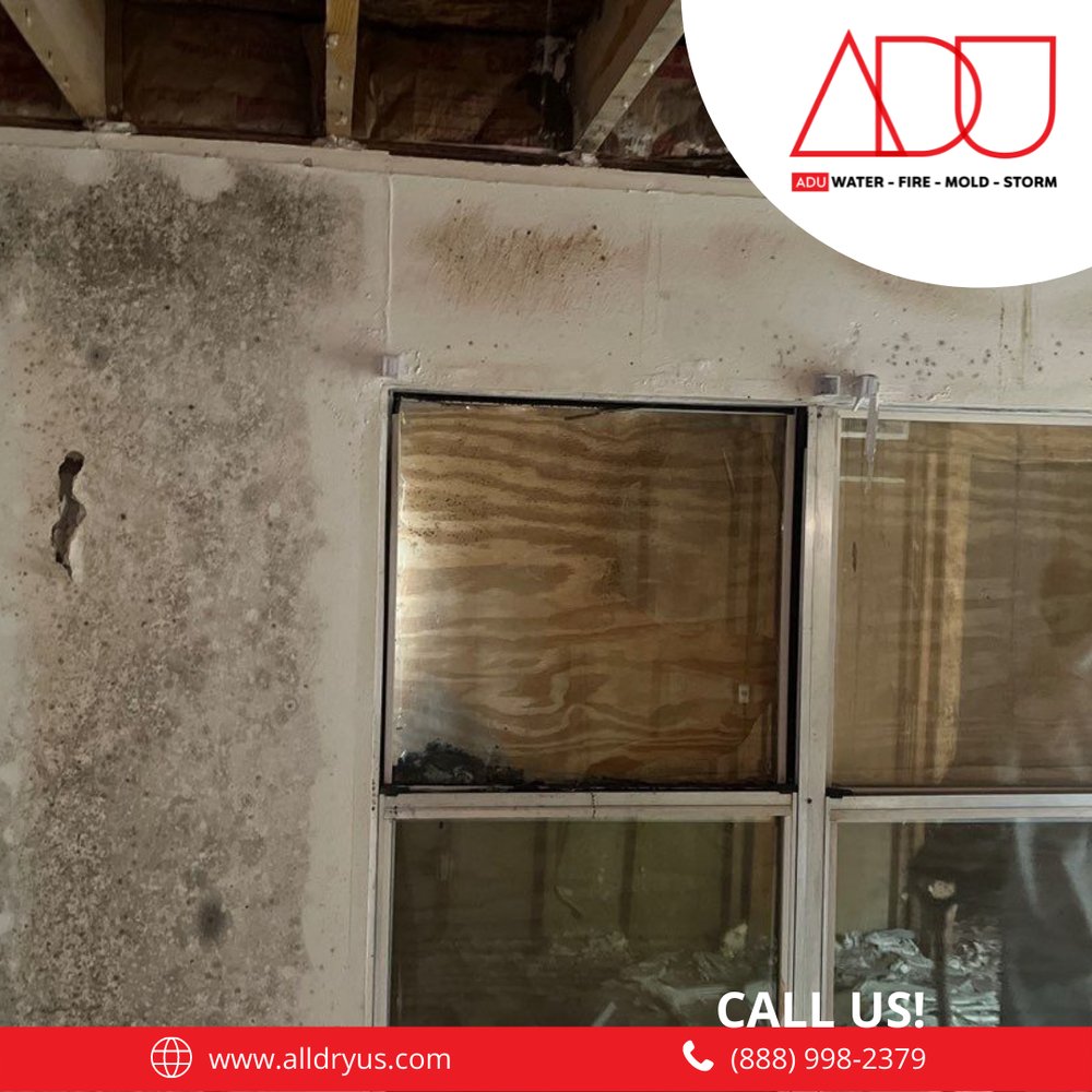 Slide of ADU Water Fire Mold Storm