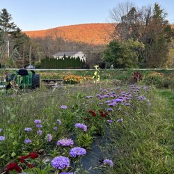 Dutton Farm Stand