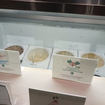 Bianco Gelato - Different flavors - Gelato Near Me - Miami, Florida Bianco Gelato - Different flavors - Gelato Near Me - Miami, Florida