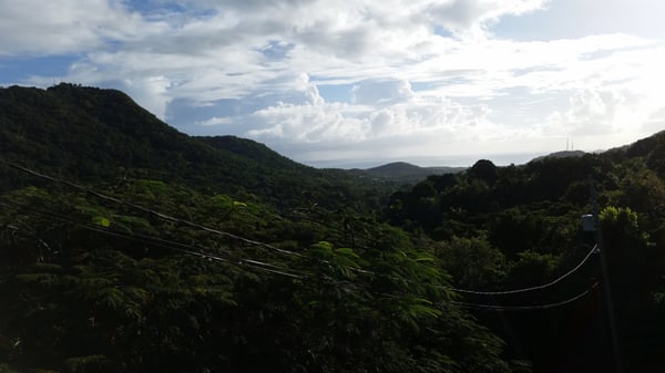 Ceiba Country Inn Bed & Breakfast by null