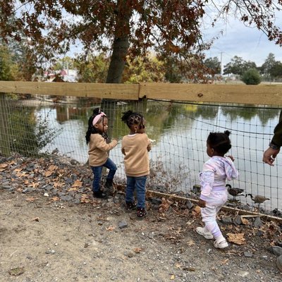 New Life Alternative