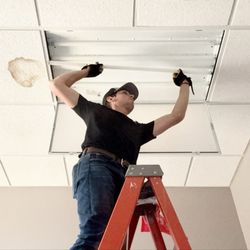 Commercial Light Bulb Replacement