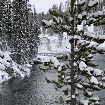 Scenic Safaris - Untouched nature - Tours Near Me - Jackson, Wyoming Scenic Safaris - Untouched nature - Tours Near Me - Jackson, Wyoming