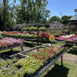 George's Livonia Gardens