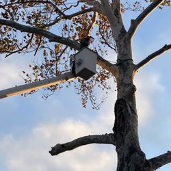 Kingdom Tree Service